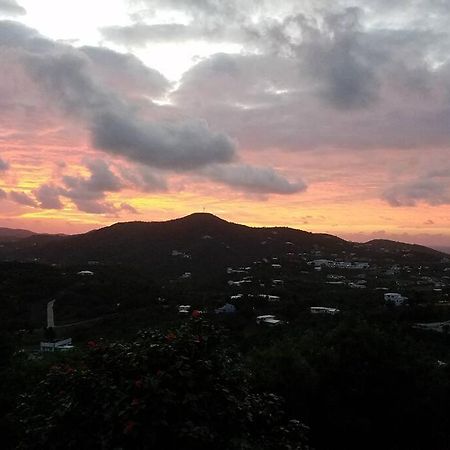 Caribbean Splendor With Million Dollar Views Villa คริสเตียนสเต็ด ภายนอก รูปภาพ