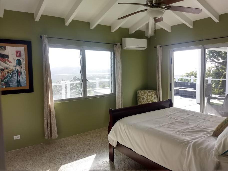 Caribbean Splendor With Million Dollar Views Villa คริสเตียนสเต็ด ภายนอก รูปภาพ