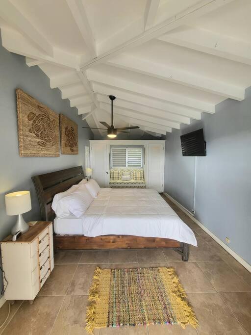Caribbean Splendor With Million Dollar Views Villa คริสเตียนสเต็ด ภายนอก รูปภาพ